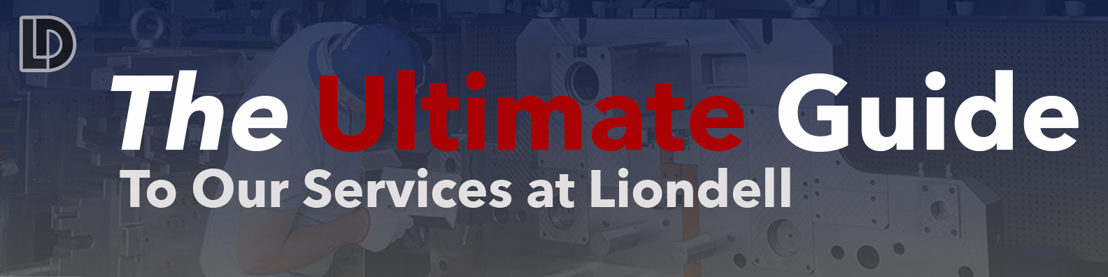 The Ultimate Guide to our Services at Liondell